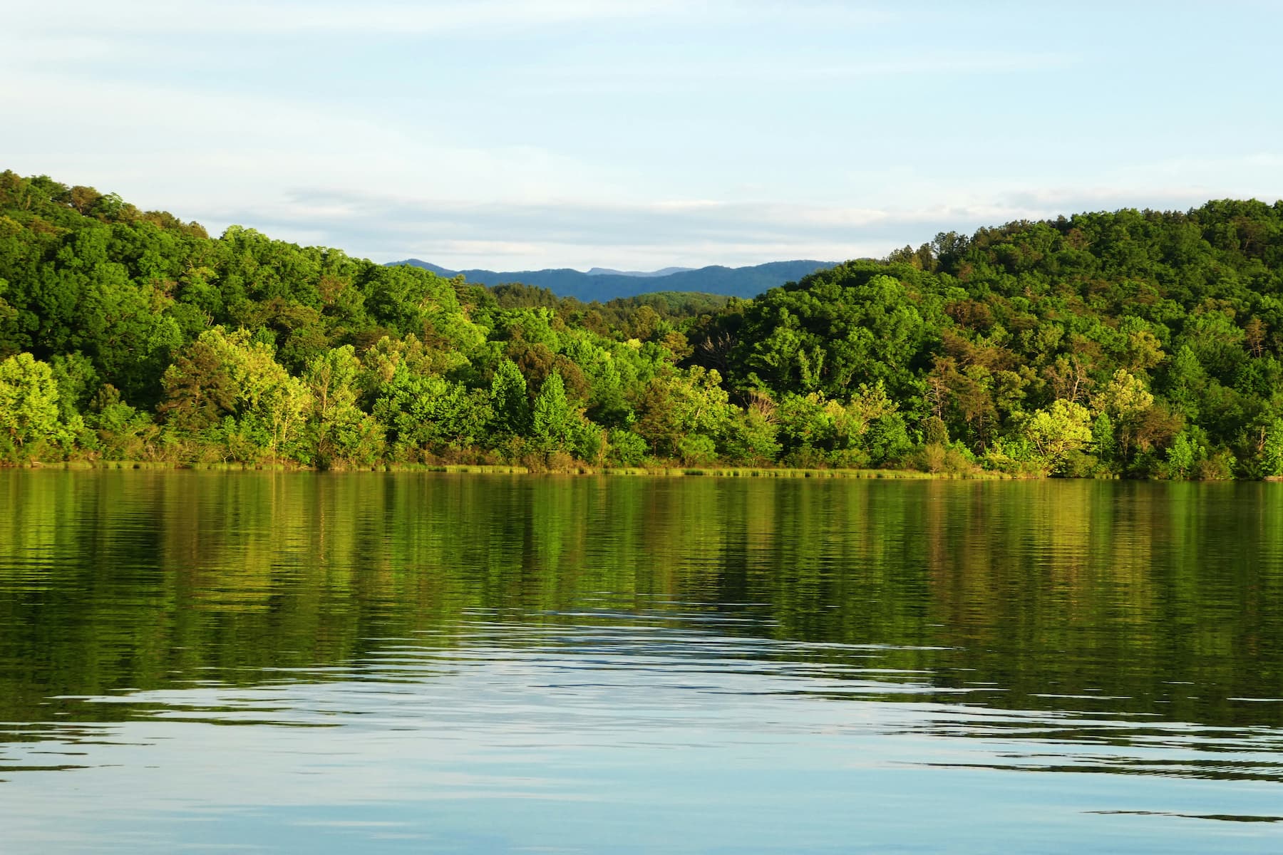 Tellico Lake, Tennessee, USA. Photo by Susanne Alexander, Unsplash