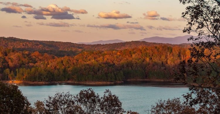 Appalachia Picnic. Photo by Abigail Ducote, Unsplash