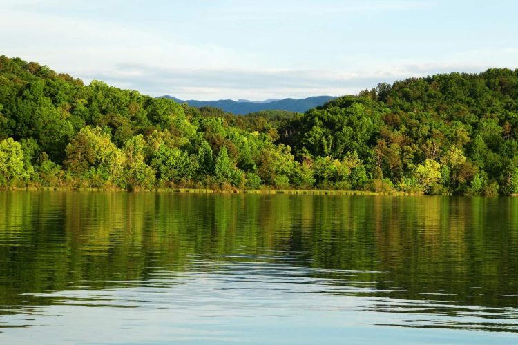 Lake and Trees. Photo by Susanne Alexander, Unsplash