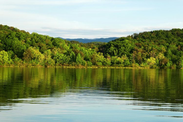 Tellico Lake, Tennessee, USA. Photo by Susanne Alexander, Unsplash